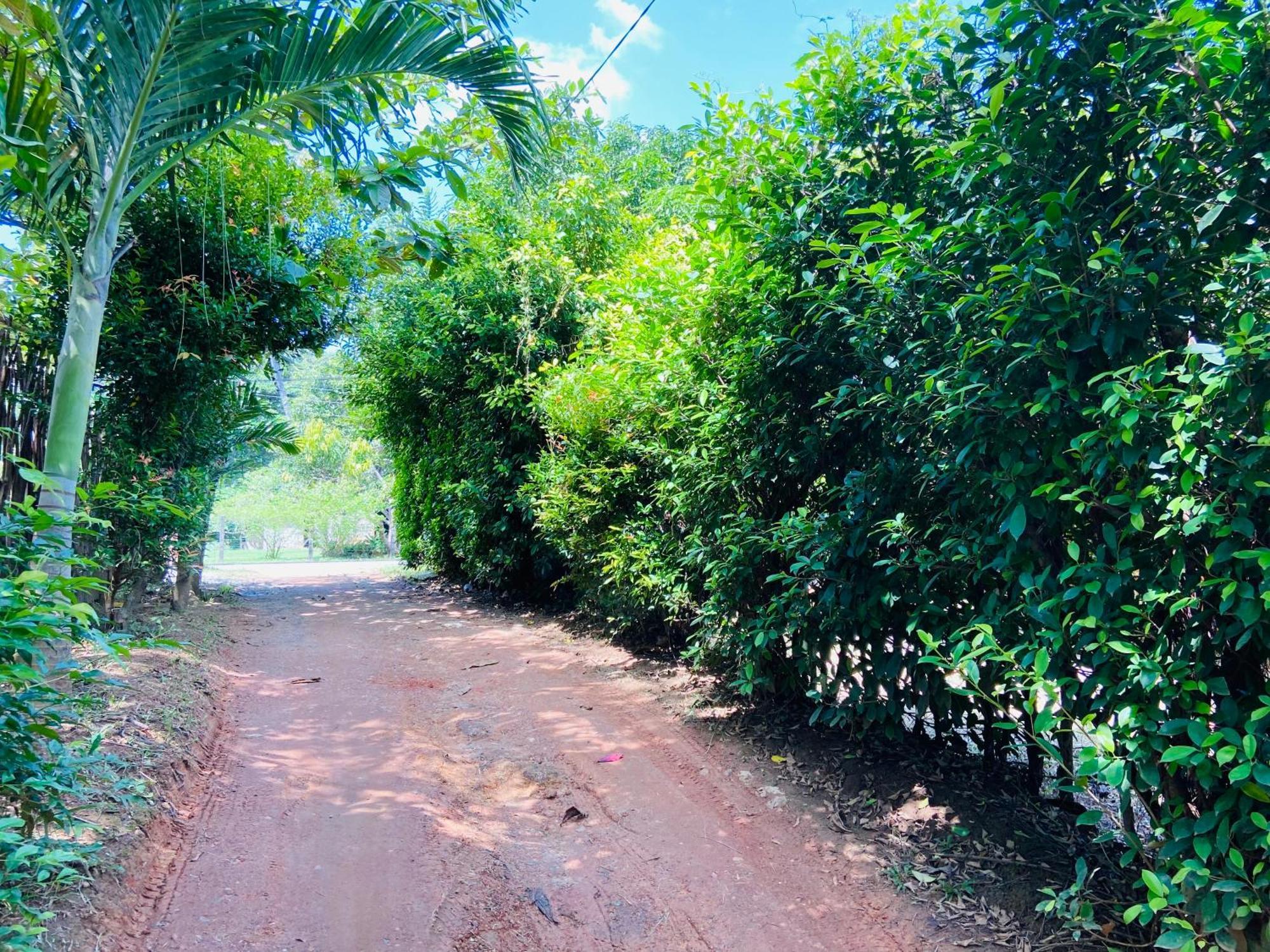 Leo Homestay Dikwella Ngoại thất bức ảnh