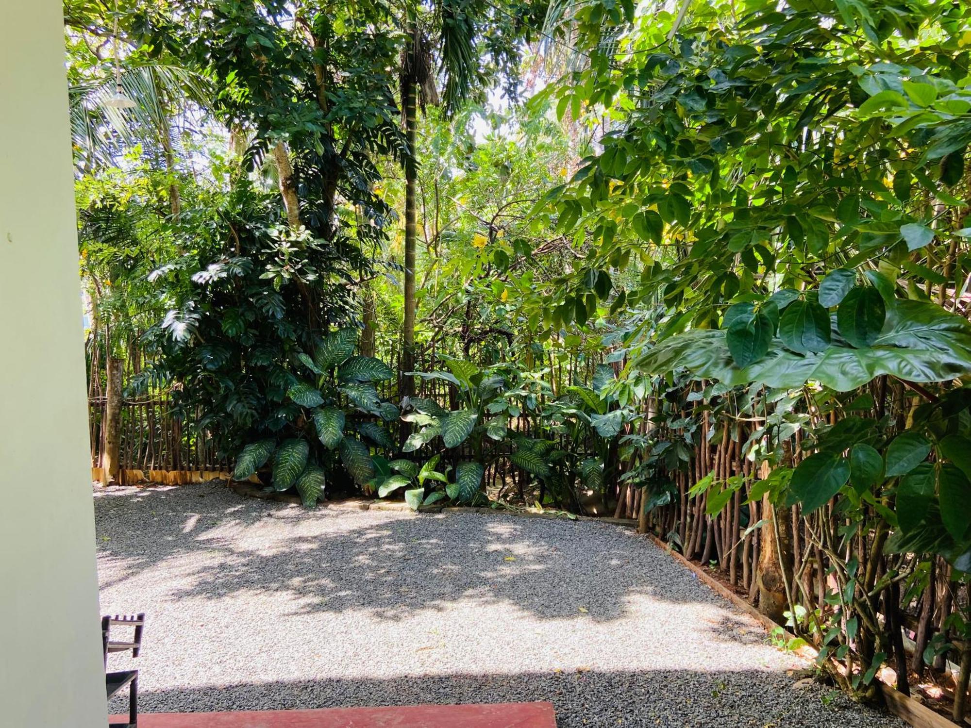 Leo Homestay Dikwella Ngoại thất bức ảnh
