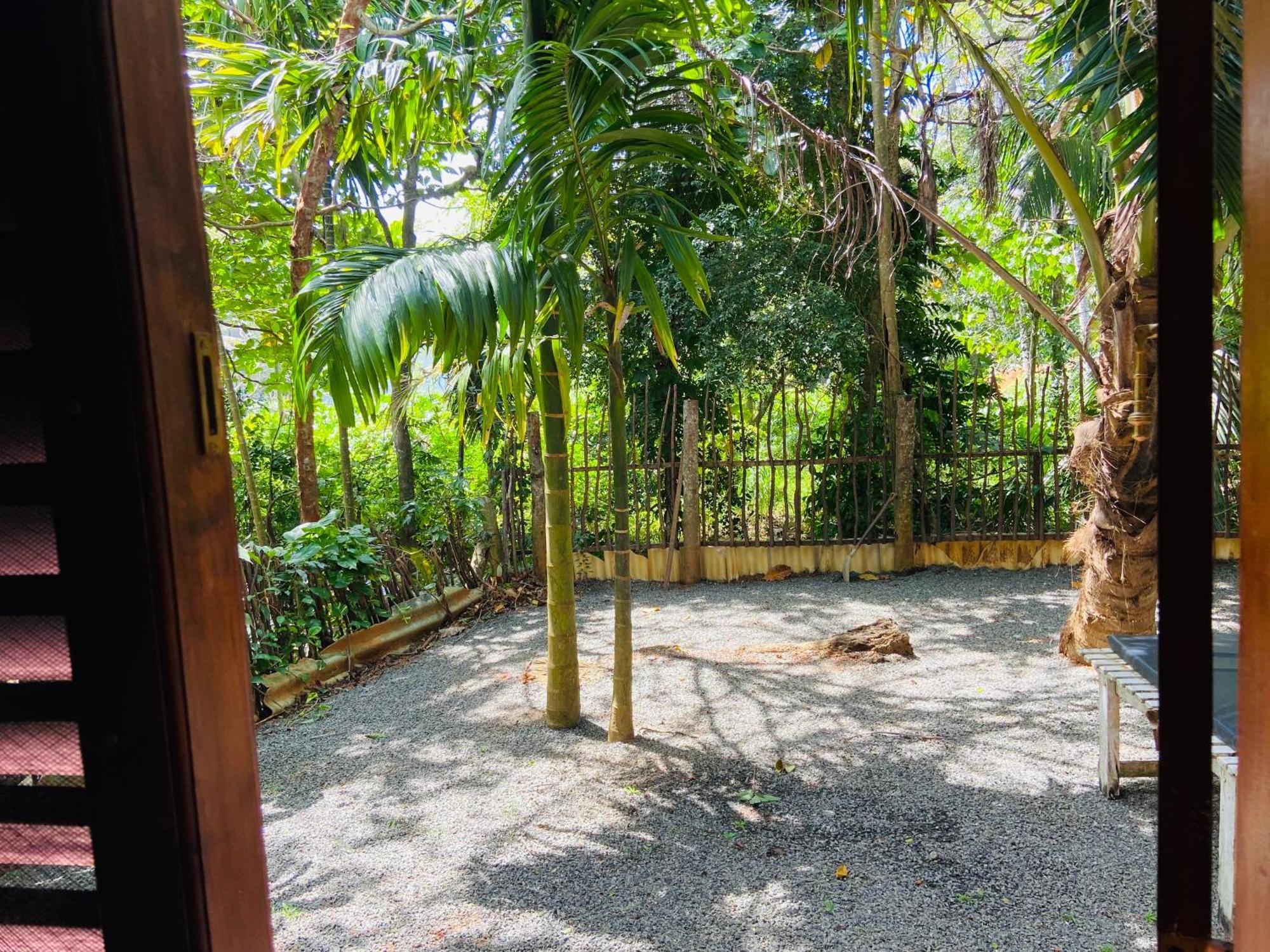 Leo Homestay Dikwella Ngoại thất bức ảnh