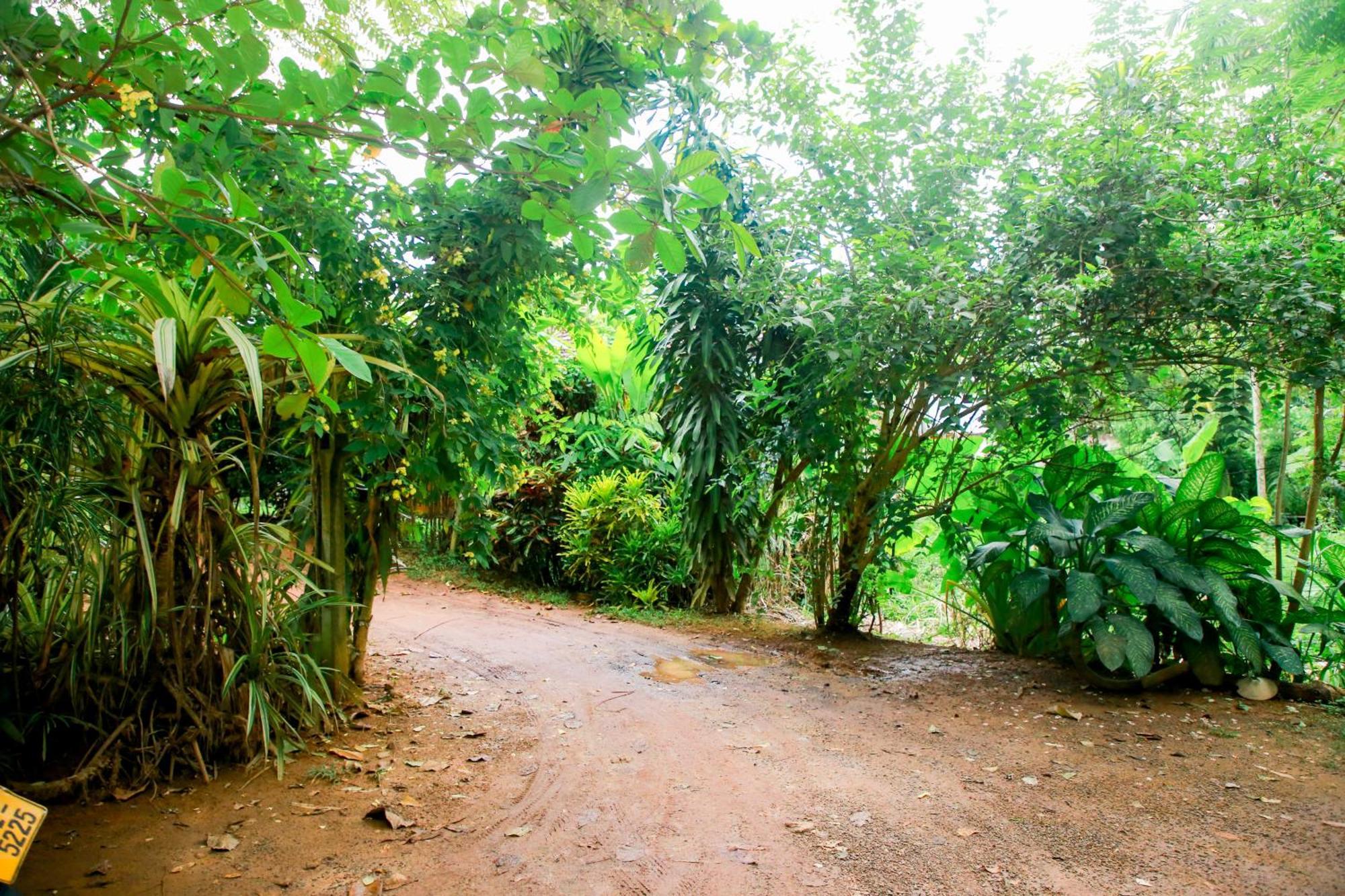 Leo Homestay Dikwella Ngoại thất bức ảnh