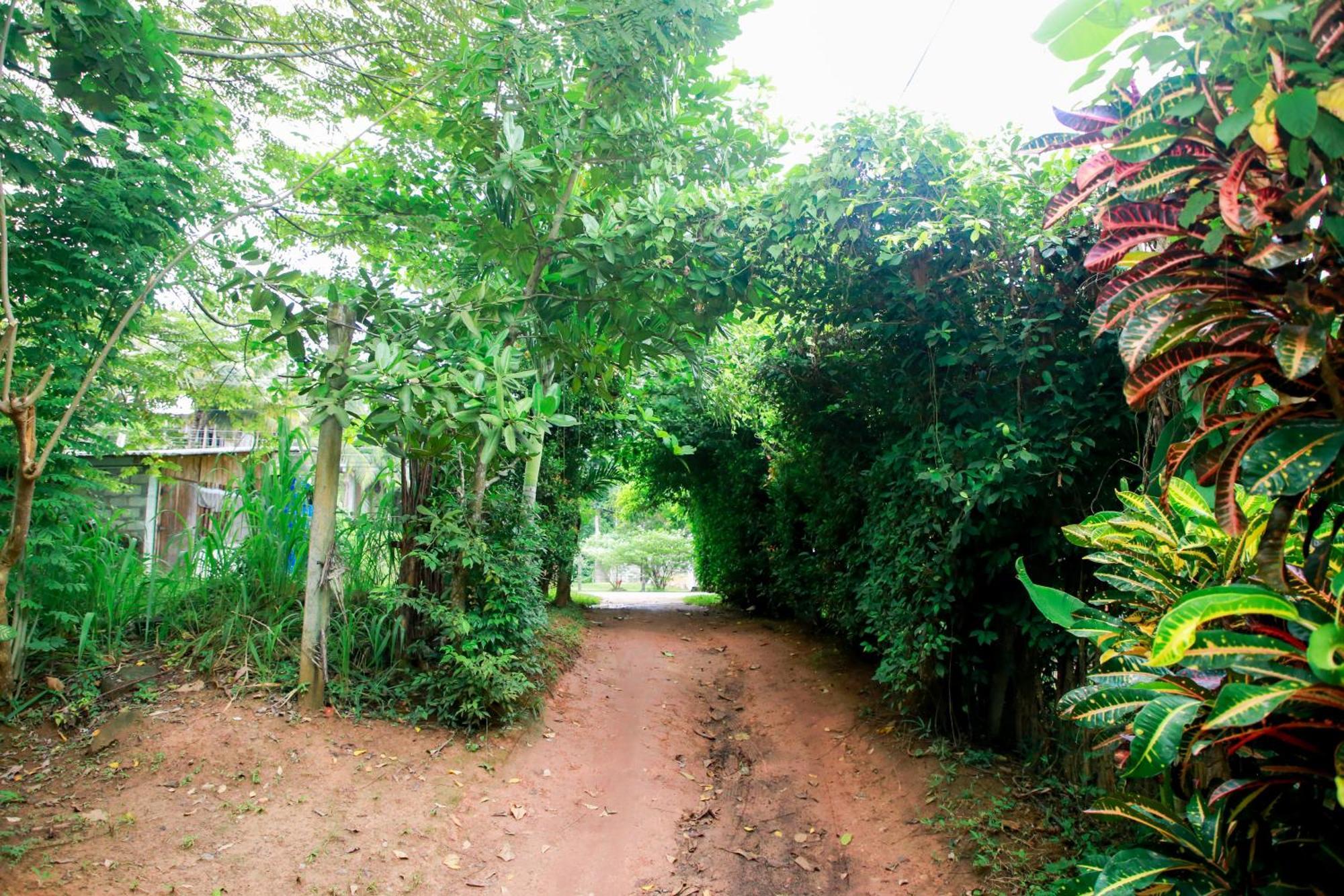 Leo Homestay Dikwella Ngoại thất bức ảnh