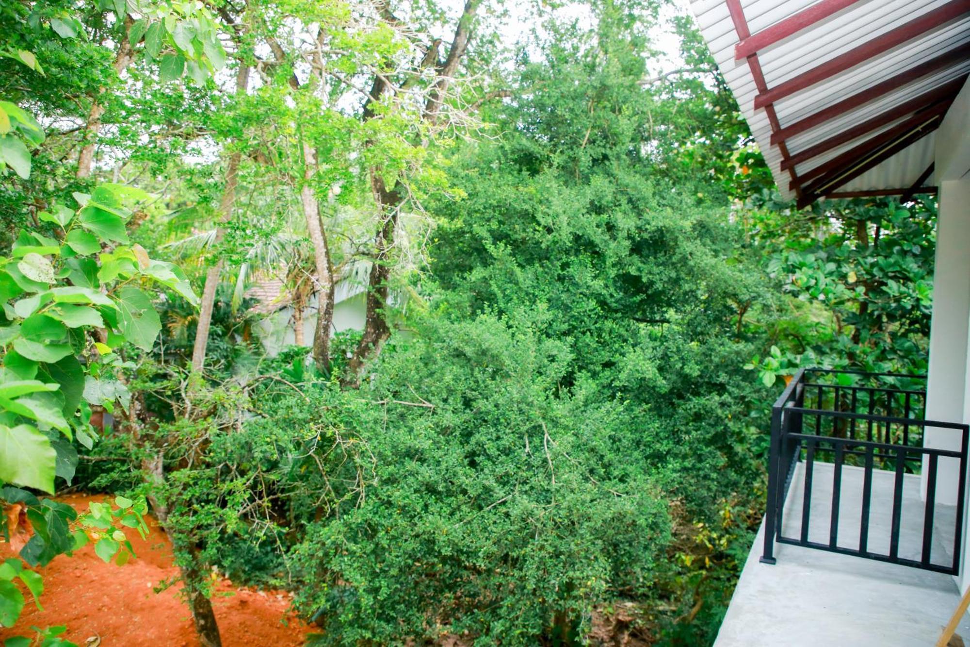 Leo Homestay Dikwella Ngoại thất bức ảnh